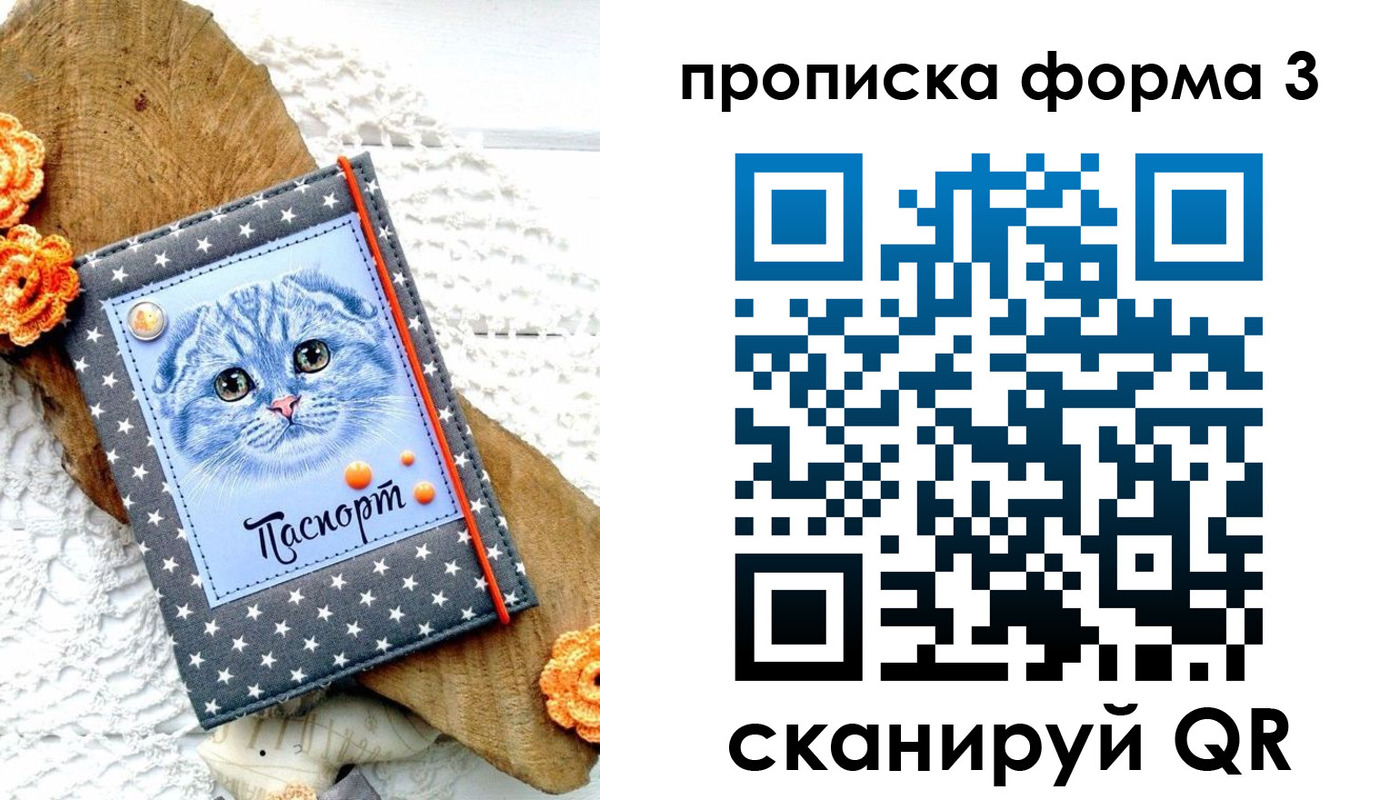 прописка поиск в Кандалакше